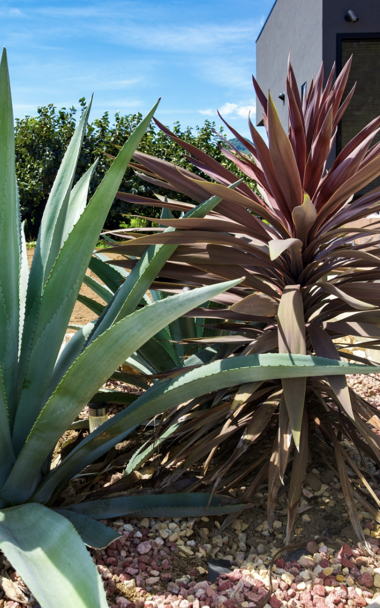 株式会社友和工務店